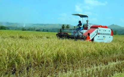 Agri sector posts 2.5% growth this year: DA 